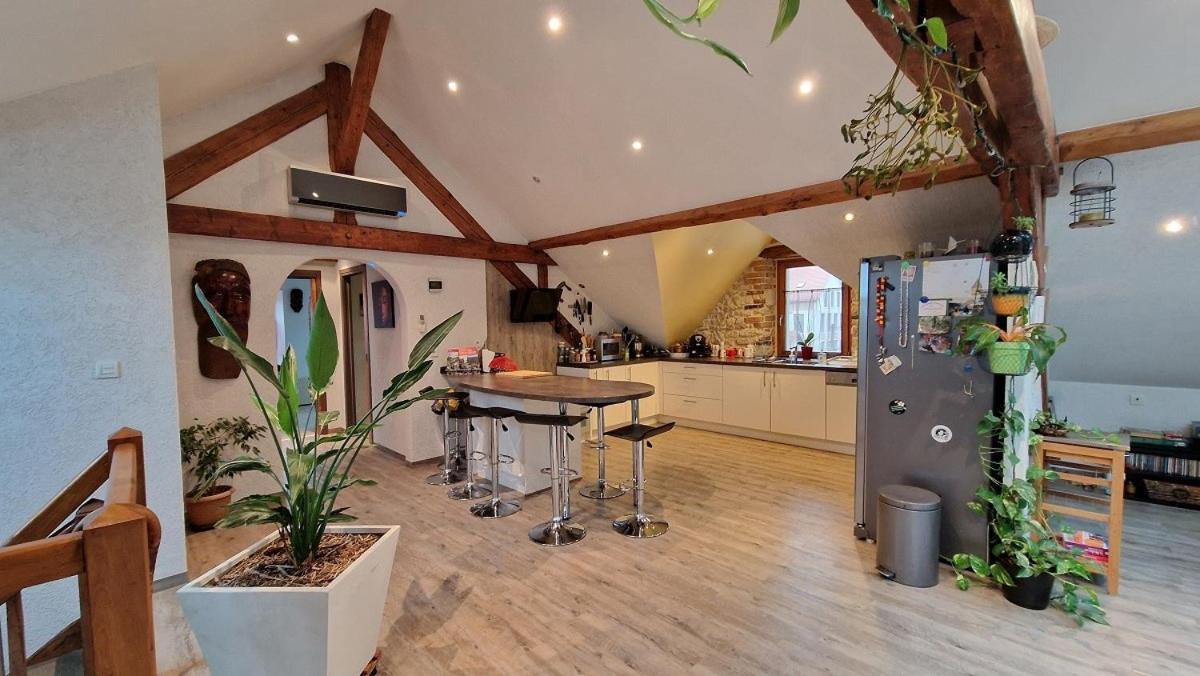 Bel Appartement 120 M² Tres Lumineux Avec Terrasse Morvillars Eksteriør billede